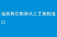 ϻƻ֮ຣ
