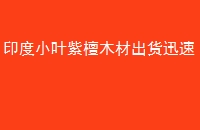 ӡСҶ̴ľĳѸ