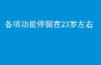 ͣ23