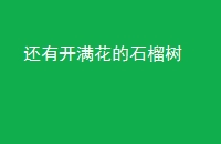 пʯ