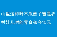 ɽҰľũ޶ʱʳ15Ԫϡ