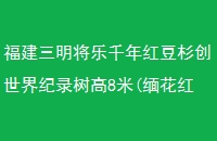ǧ춹ɼ¼8(廨ľ)