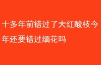ʮǰ˴֦껹Ҫ廨