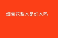黨ľǺľ