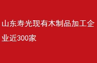 ɽٹľƷӹҵ300