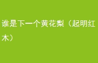 ˭һƻ棨ľ