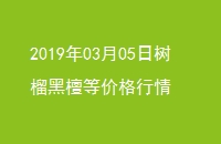 20190305̴ȼ۸