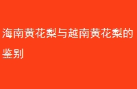 ϻƻԽϻƻļ