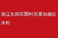 㽭԰羰续ľ