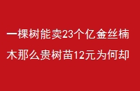 һ23ڽ˿ľô12ԪΪȴûԸ