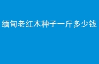 ϺľһǮ