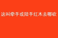 ǣֺֻľȥĿ