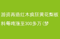ľƻÿ300(μľ)