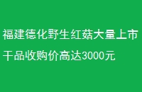 »Ұ칽иƷչ۸ߴ3000Ԫ-ҵѶ-ҰľĢʳþ-йʳþ